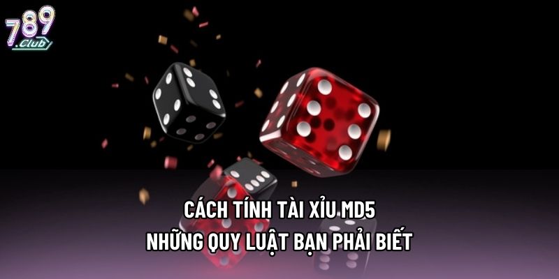 Cách Tính Tài Xỉu MD5 - Những Quy Luật Bạn Phải Biết